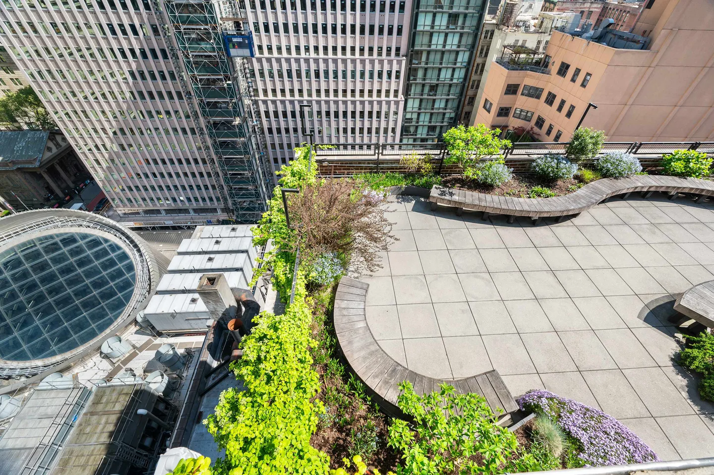 Aerial view of a rooftop garden with plants and wooden benches.